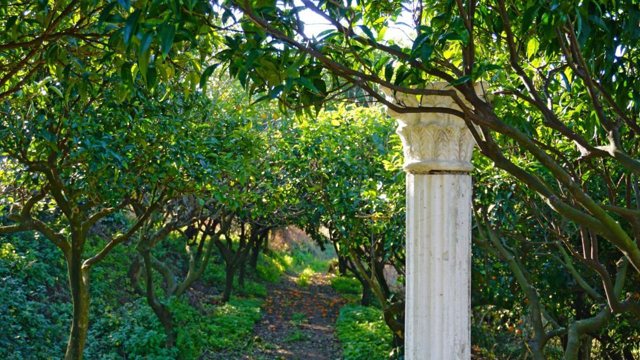 Tenuta Convivium Pozzuoli Buitenkant foto